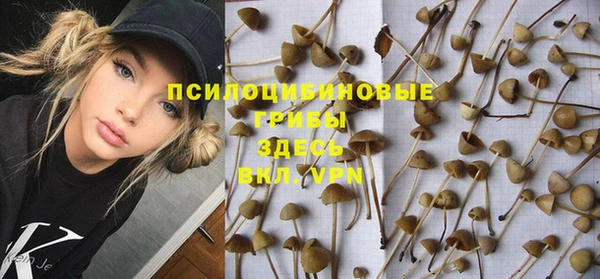 герыч Бородино