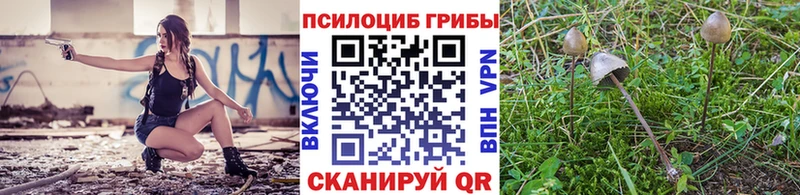 Галлюциногенные грибы Magic Shrooms  Самара 